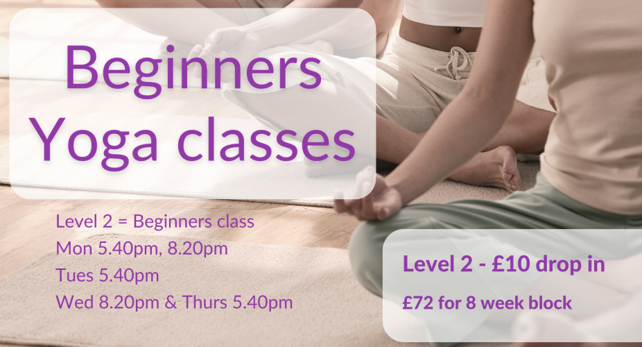 beginners yoga belfast