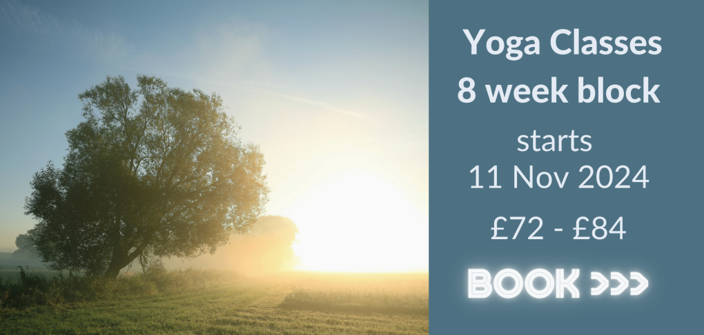 yoga classes belfast